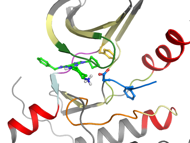 The orthosteric binding pocket