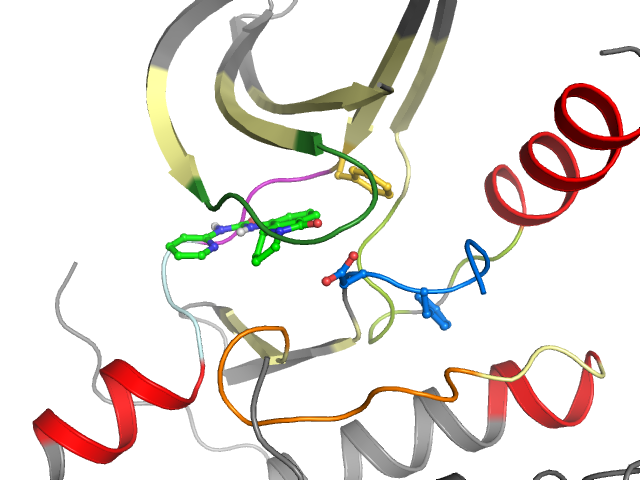 The orthosteric binding pocket