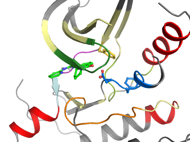 The orthosteric binding pocket