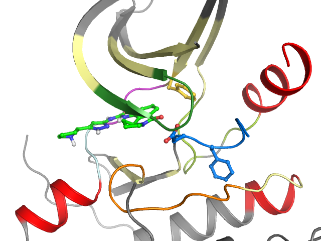 The orthosteric binding pocket