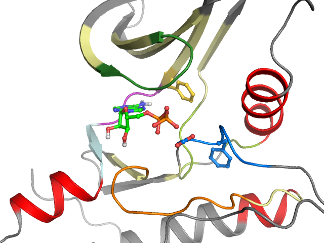 The orthosteric binding pocket