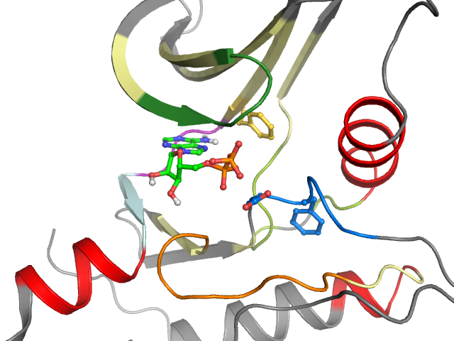 The orthosteric binding pocket