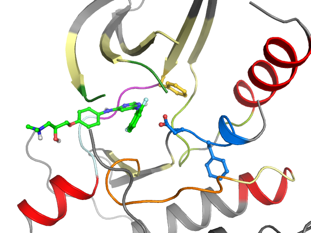 The orthosteric binding pocket
