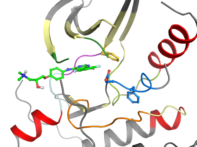 The orthosteric binding pocket
