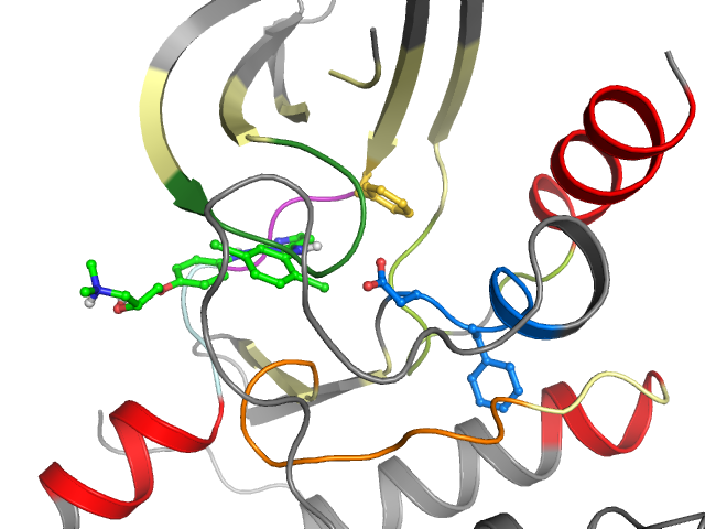 The orthosteric binding pocket