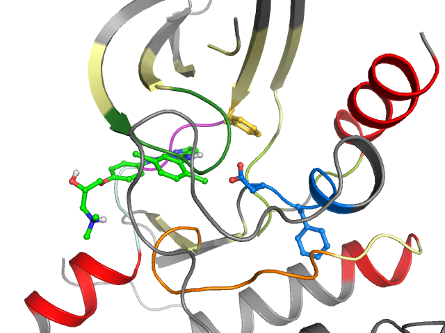 The orthosteric binding pocket