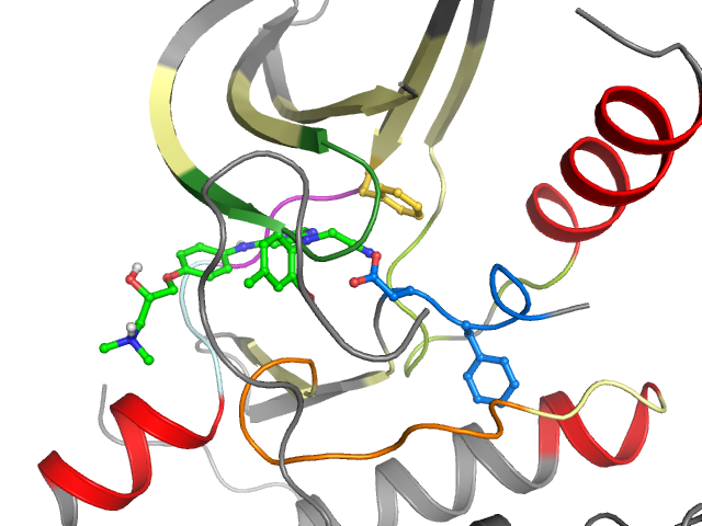 The orthosteric binding pocket