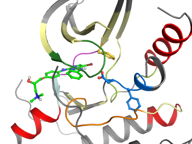 The orthosteric binding pocket