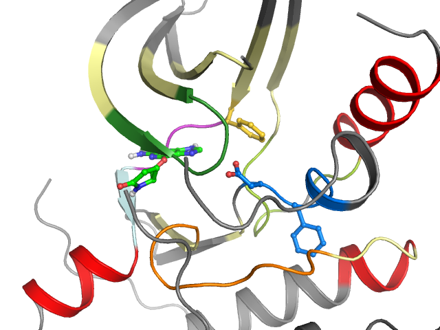 The orthosteric binding pocket