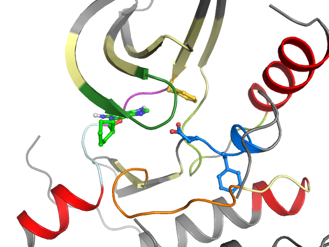 The orthosteric binding pocket