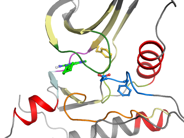 The orthosteric binding pocket