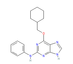 2D structure of the orthosteric ligand