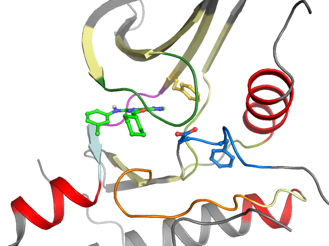 The orthosteric binding pocket