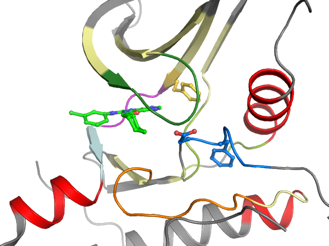 The orthosteric binding pocket