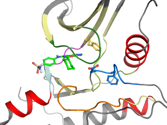 The orthosteric binding pocket