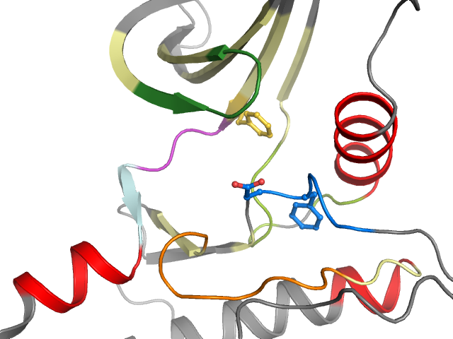 The orthosteric binding pocket