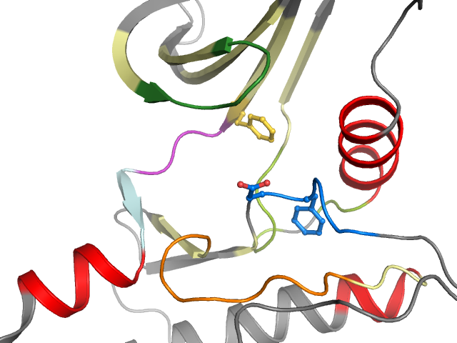 The orthosteric binding pocket