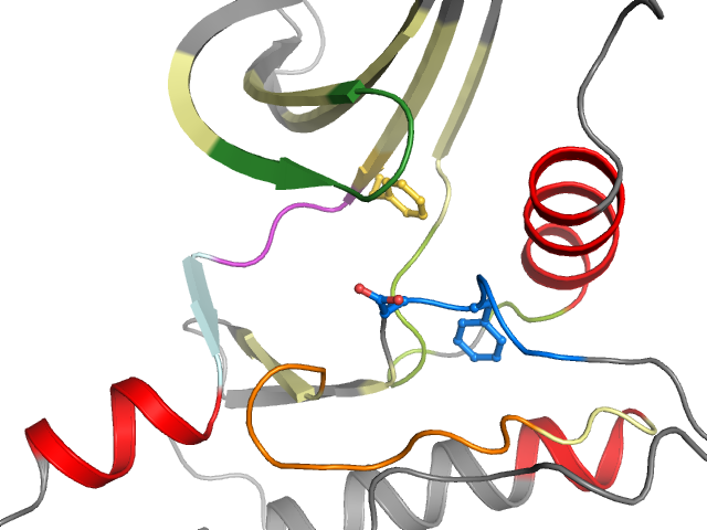 The orthosteric binding pocket