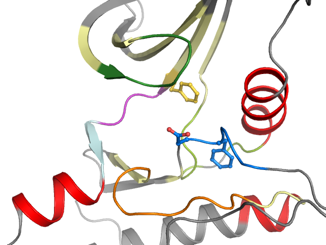 The orthosteric binding pocket