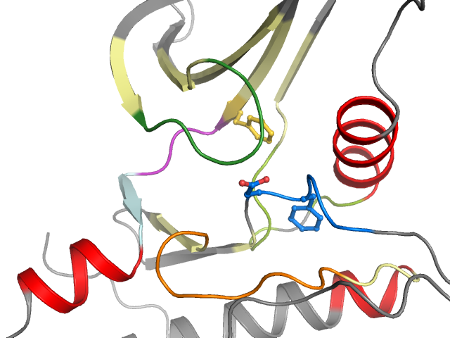 The orthosteric binding pocket