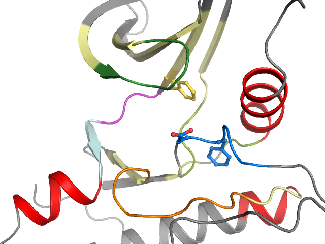 The orthosteric binding pocket