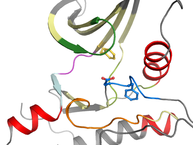 The orthosteric binding pocket