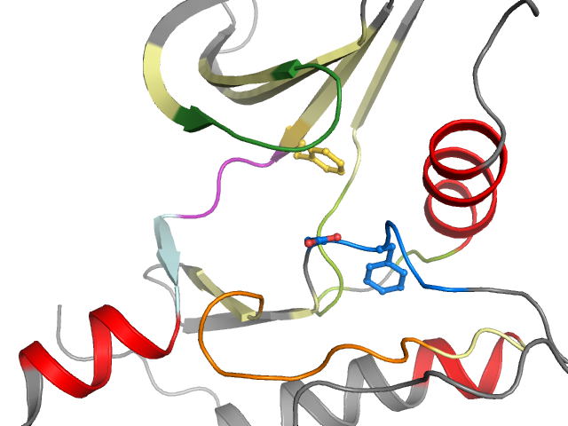 The orthosteric binding pocket