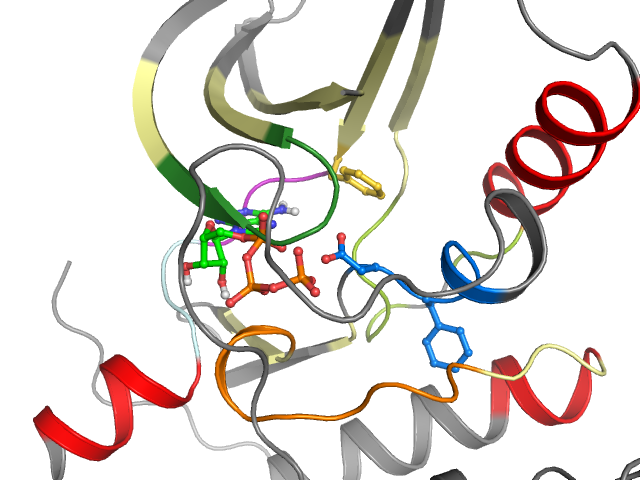 The orthosteric binding pocket