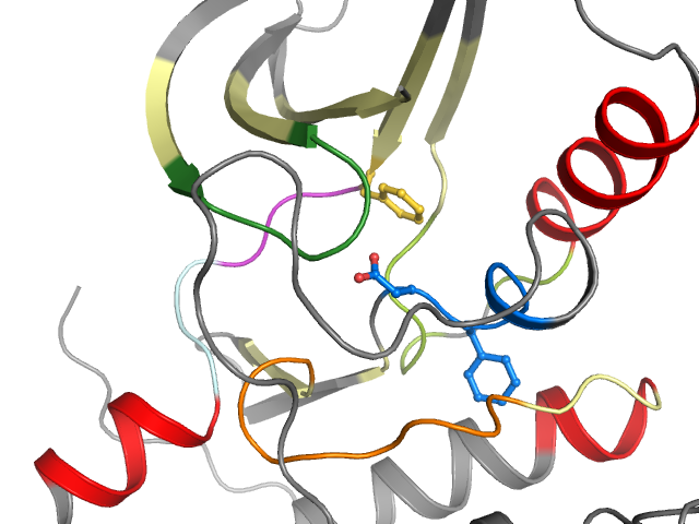 The orthosteric binding pocket
