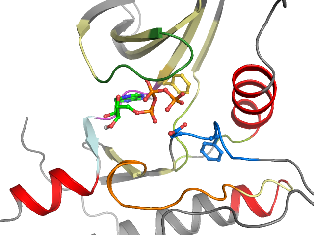 The orthosteric binding pocket