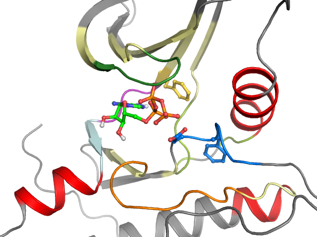 The orthosteric binding pocket