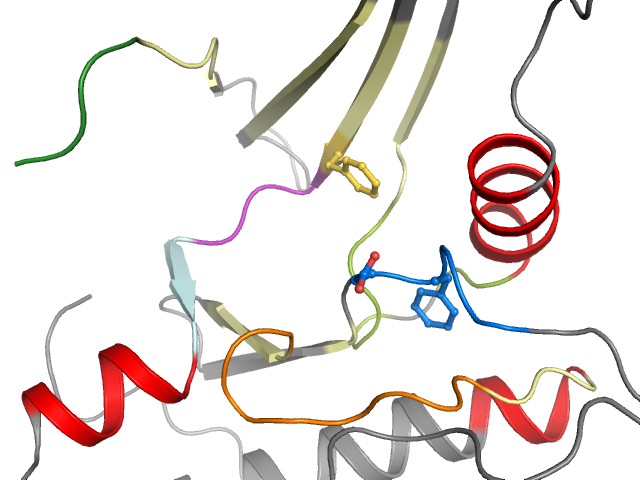 The orthosteric binding pocket