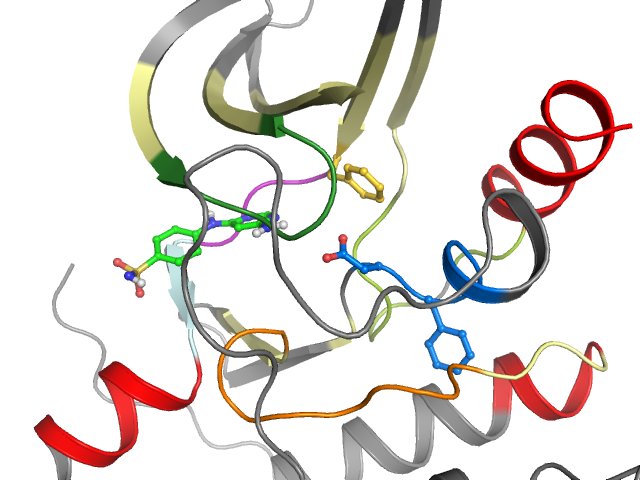 The orthosteric binding pocket
