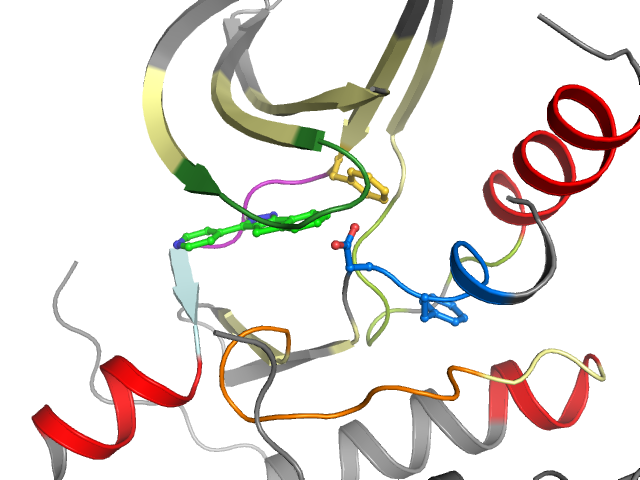 The orthosteric binding pocket