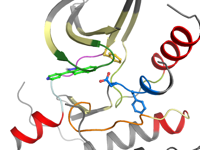 The orthosteric binding pocket