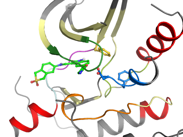 The orthosteric binding pocket