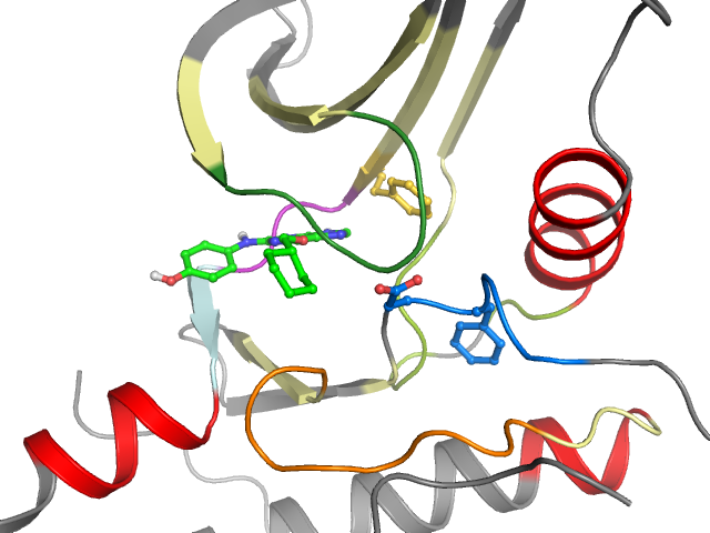 The orthosteric binding pocket
