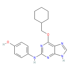 2D structure of the orthosteric ligand