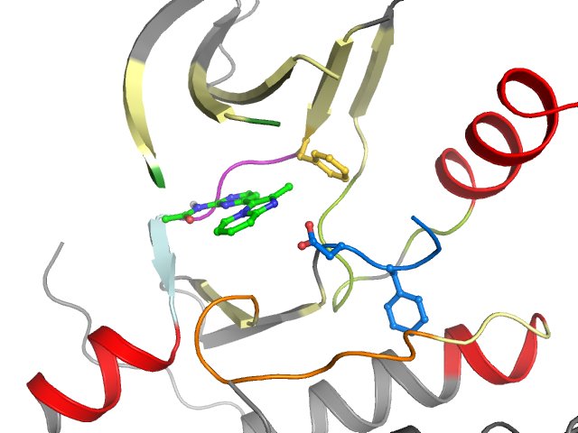 The orthosteric binding pocket