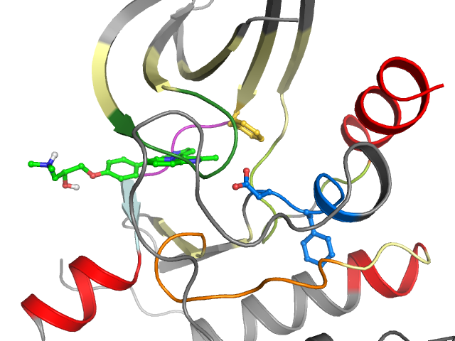 The orthosteric binding pocket