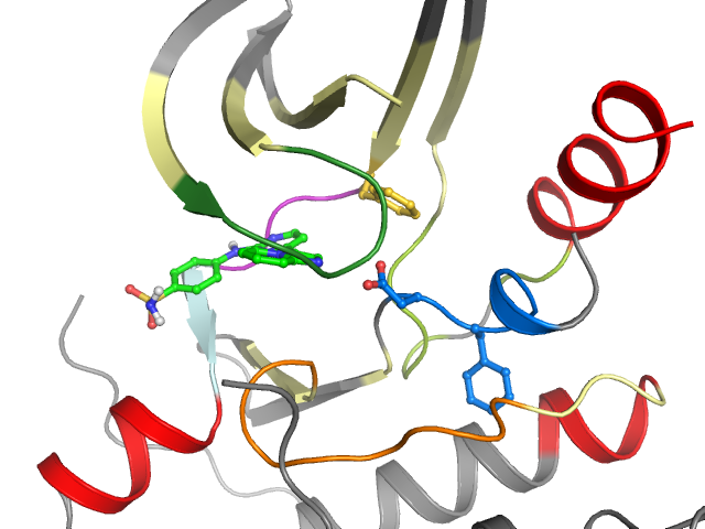 The orthosteric binding pocket
