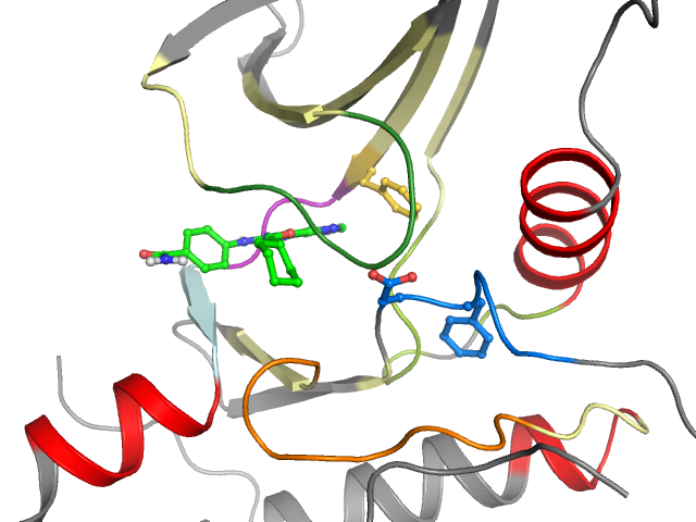 The orthosteric binding pocket