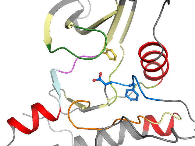 The orthosteric binding pocket
