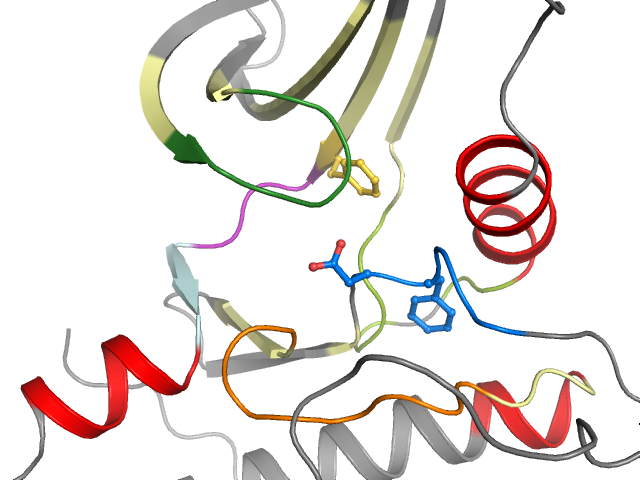 The orthosteric binding pocket