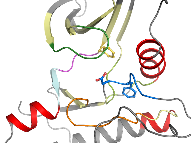 The orthosteric binding pocket