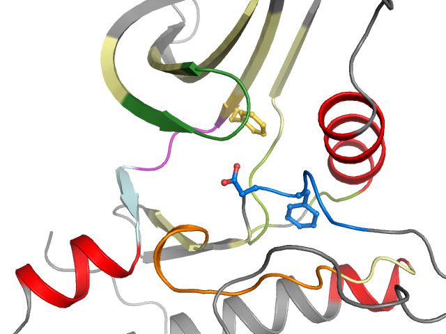The orthosteric binding pocket
