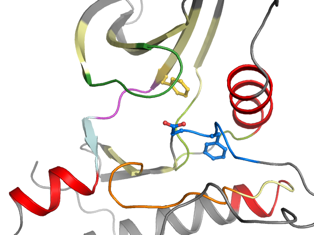 The orthosteric binding pocket