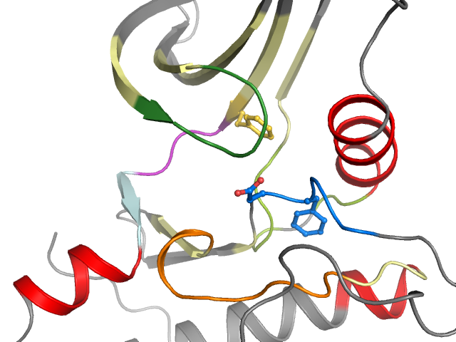 The orthosteric binding pocket