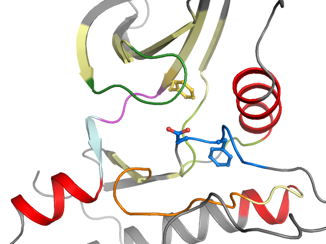 The orthosteric binding pocket