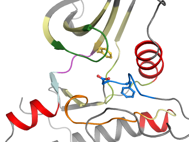 The orthosteric binding pocket